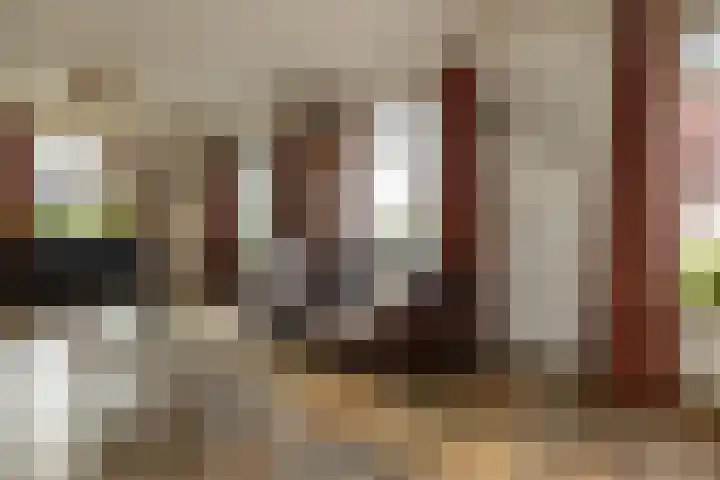 Oude Hof 34 Elspeet thumbnail 25