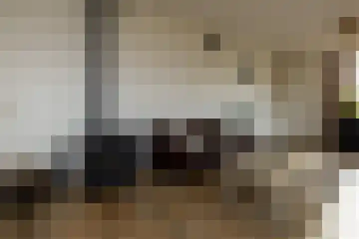 Oude Hof 34 Elspeet thumbnail 26