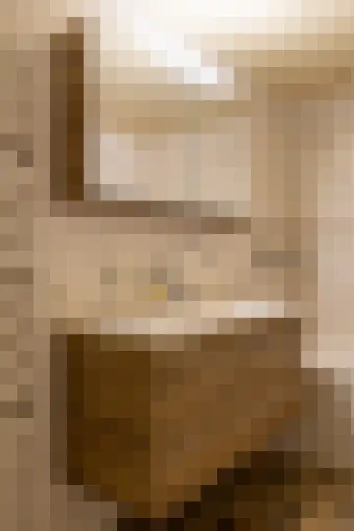 Oude Hof 34 Elspeet thumbnail 28
