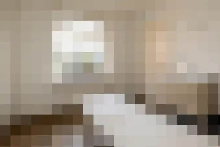 Oude Hof 34 Elspeet thumbnail 30