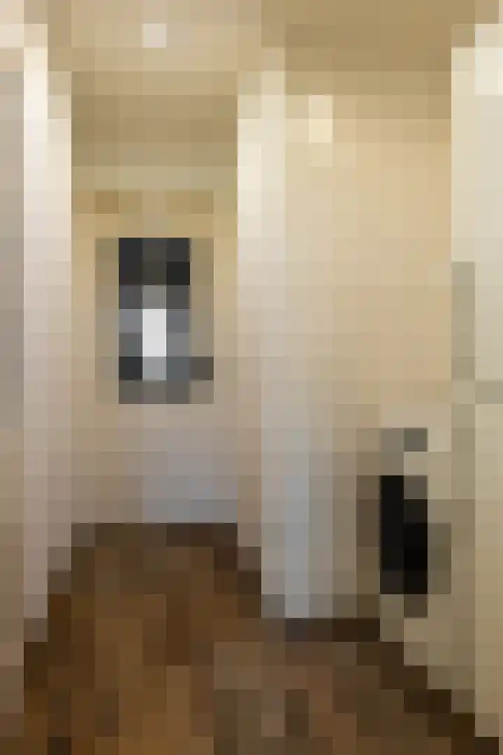 Oude Hof 34 Elspeet thumbnail 32