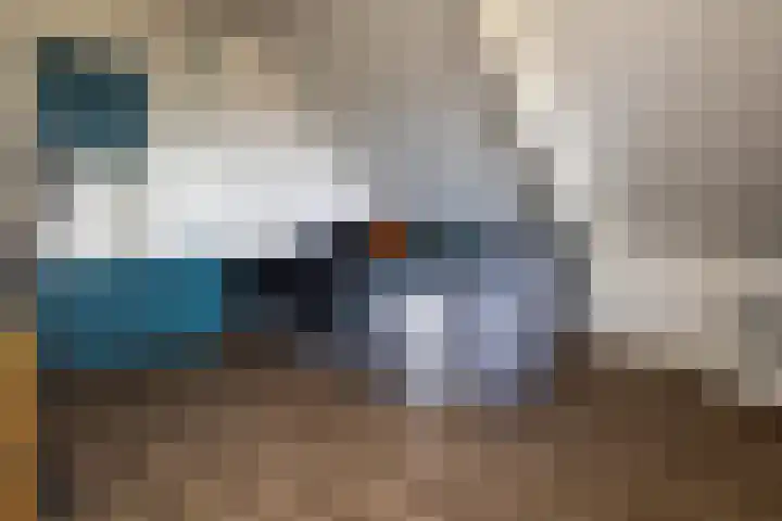 Oude Hof 34 Elspeet thumbnail 37
