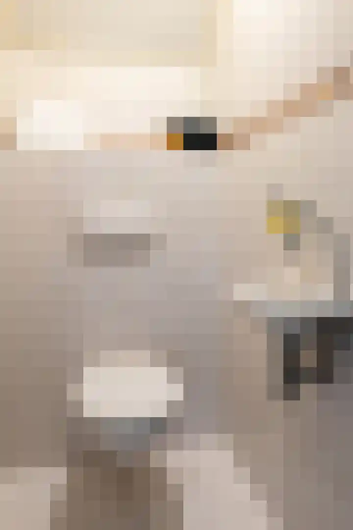 Oude Hof 34 Elspeet thumbnail 46