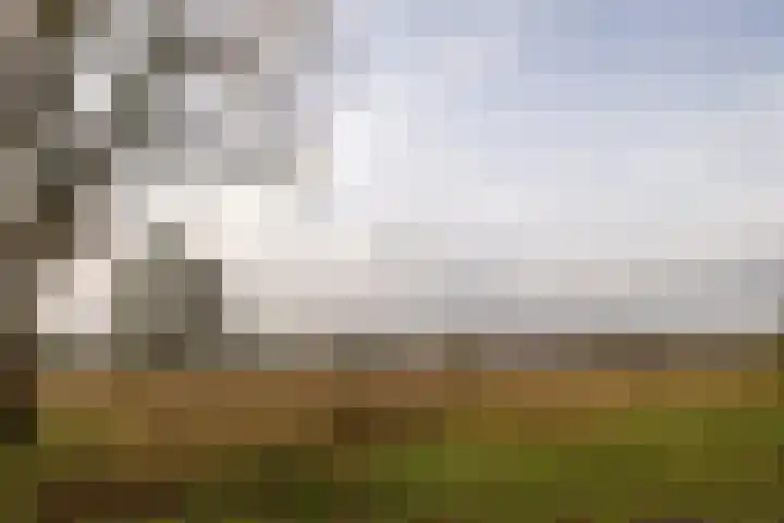 Oude Hof 34 Elspeet thumbnail 48