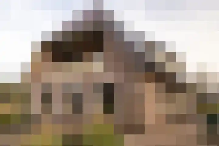 Oude Hof 34 Elspeet thumbnail 5