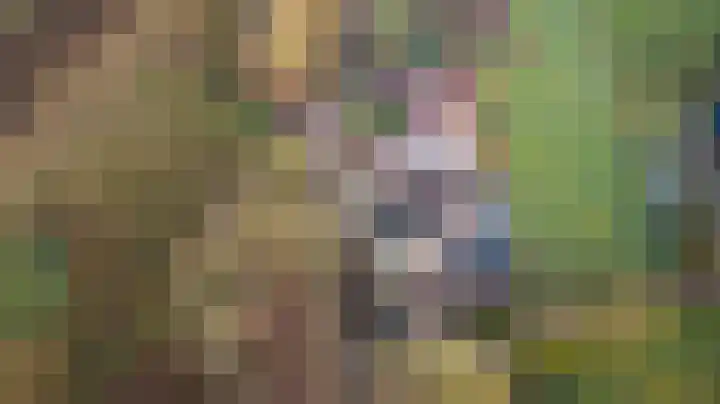 Oude Hof 34 Elspeet thumbnail 7