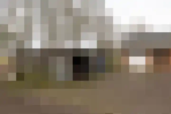 Oude Hof 34 Elspeet thumbnail 9