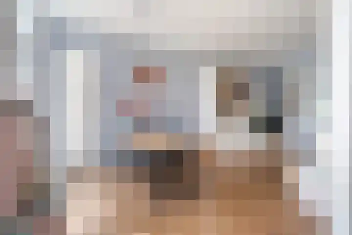 Oude Houtensepad 10 Utrecht thumbnail 12