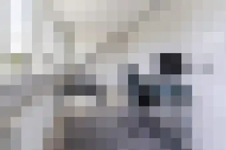 Oude Houtensepad 10 Utrecht thumbnail 39