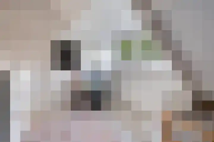 Oude Houtensepad 10 Utrecht thumbnail 43