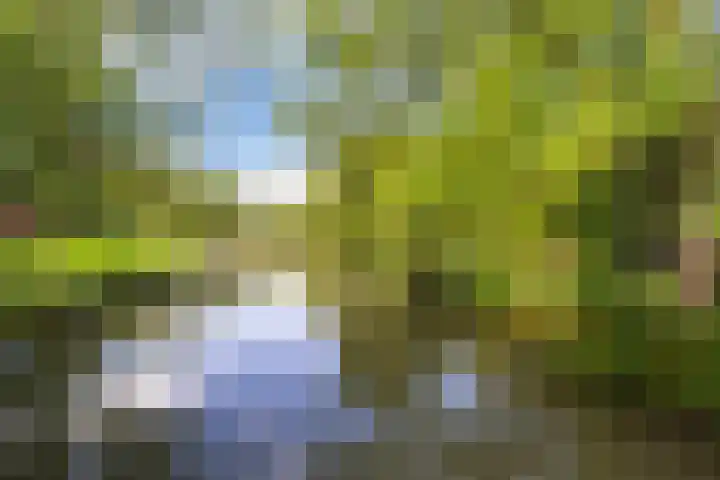 Oude Houtensepad 10 Utrecht thumbnail 59