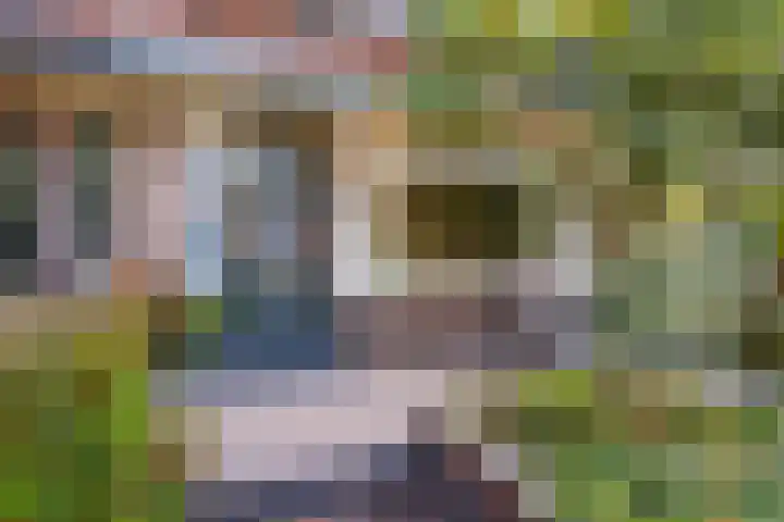 Oude Houtensepad 10 Utrecht thumbnail 6