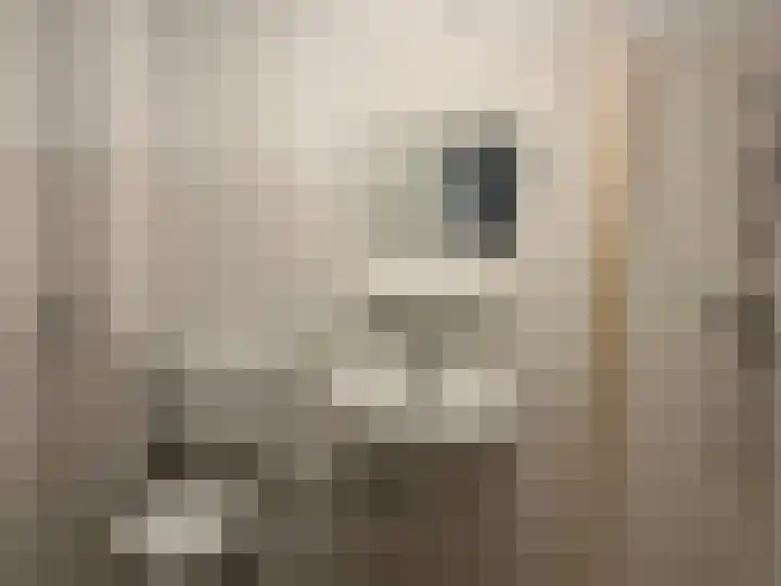 Oude IJsbaan 27 Delft thumbnail 7