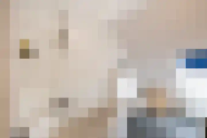 Oude Kerkstraat 43 D Oss thumbnail 15