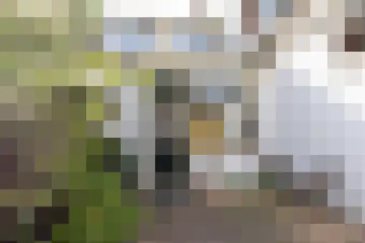 Oude Kerkstraat 48 Utrecht thumbnail 33