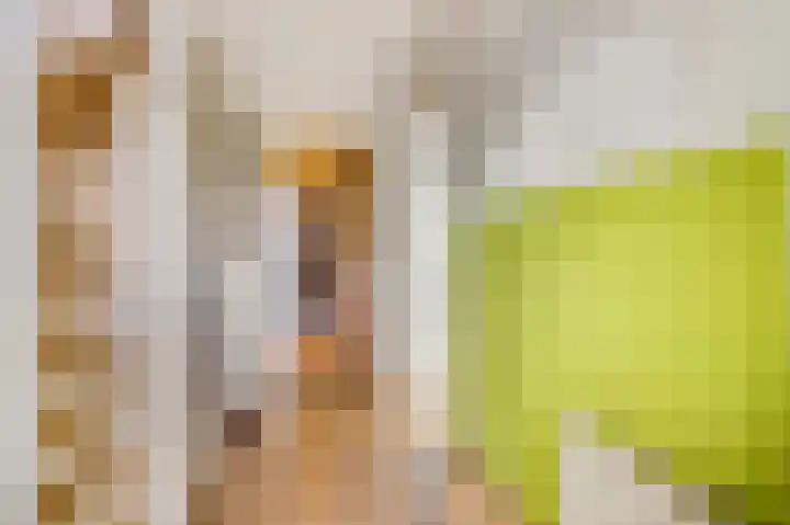 Oude Kerkweg 13 Ede thumbnail 15