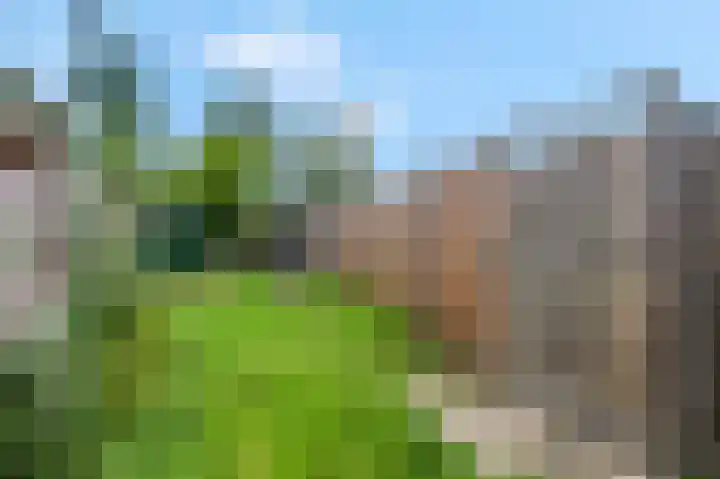 Oude Kerkweg 13 Ede thumbnail 44