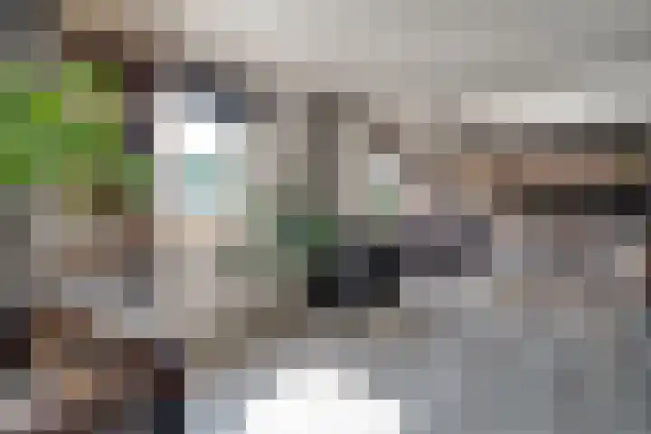 Oude Klapstraat 15 Wijchen thumbnail 9