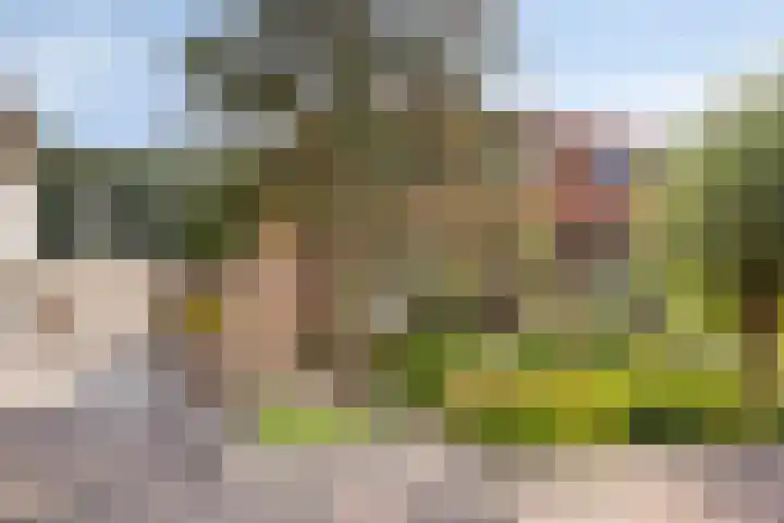 Oude Landgraaf 14 Landgraaf thumbnail 6