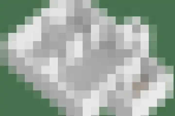 Oude Landgraaf 14 Landgraaf thumbnail 63