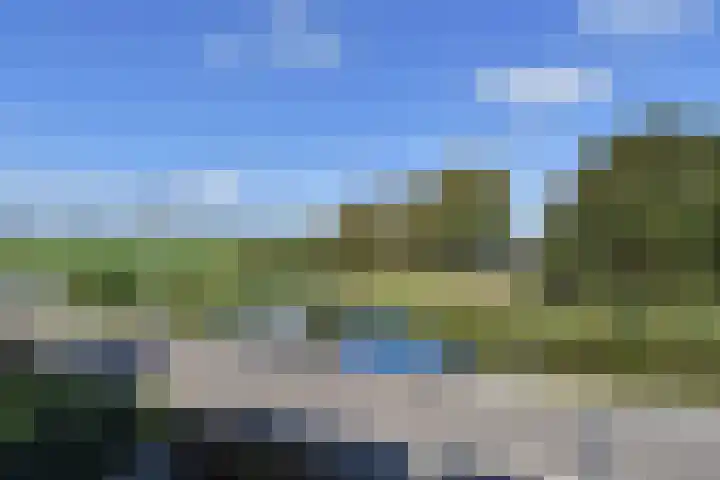 Oude Leedeweg 151 Pijnacker thumbnail 20