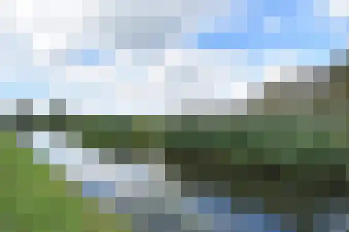 Oude Leedeweg 151 Pijnacker thumbnail 21