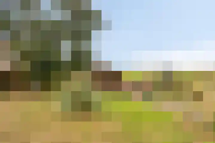 Oude Leedeweg 16 a Pijnacker thumbnail 15