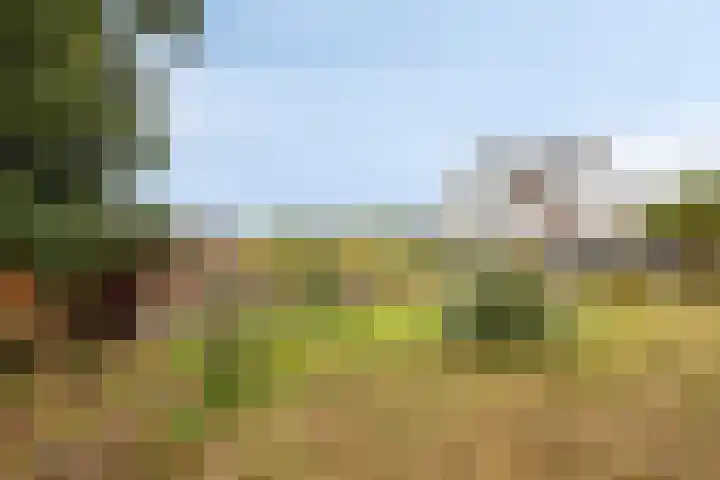 Oude Leedeweg 16 a Pijnacker thumbnail 17