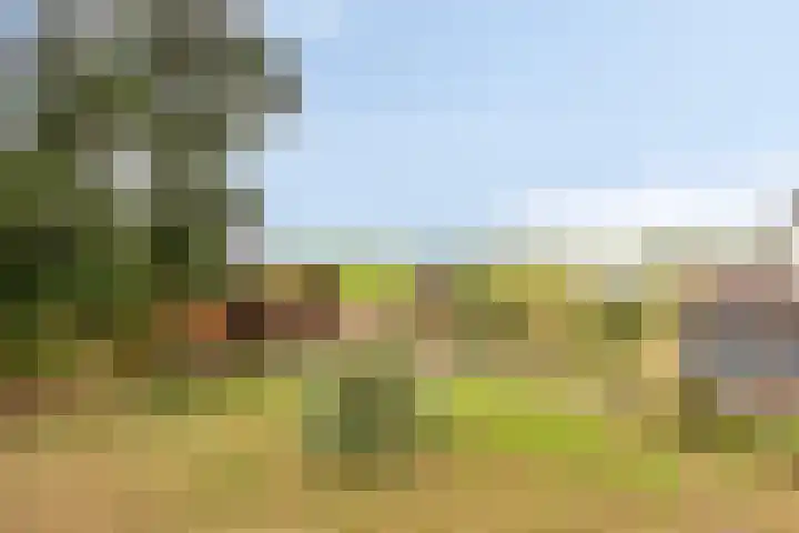 Oude Leedeweg 16 a Pijnacker thumbnail 4