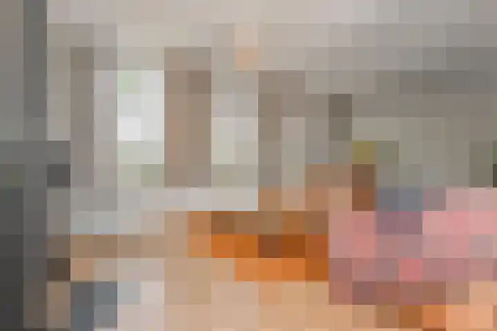 Oude Leedeweg 215 Pijnacker thumbnail 12