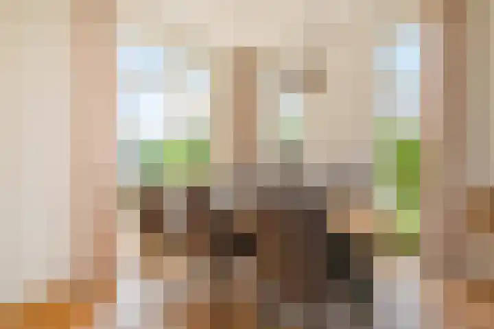 Oude Leedeweg 215 Pijnacker thumbnail 15