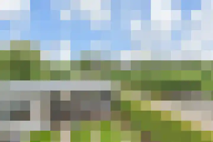 Oude Leedeweg 215 Pijnacker thumbnail 22