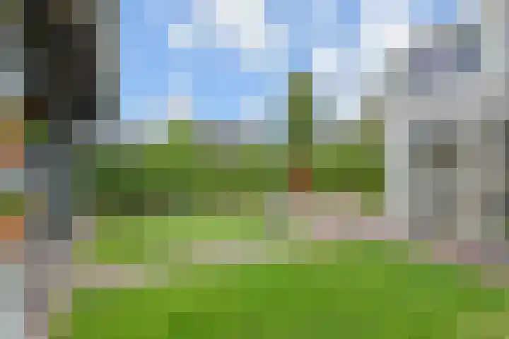 Oude Leedeweg 215 Pijnacker thumbnail 24