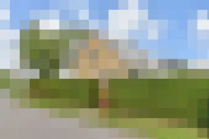 Oude Leedeweg 215 Pijnacker thumbnail 5