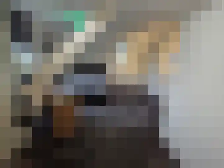 Oude Leedeweg 36 Pijnacker thumbnail 10
