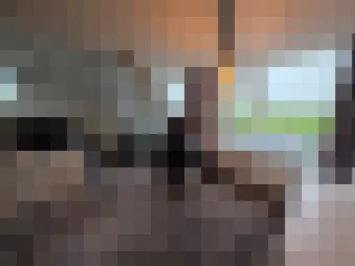 Oude Leedeweg 36 Pijnacker thumbnail 11