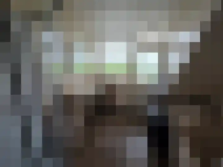 Oude Leedeweg 36 Pijnacker thumbnail 13