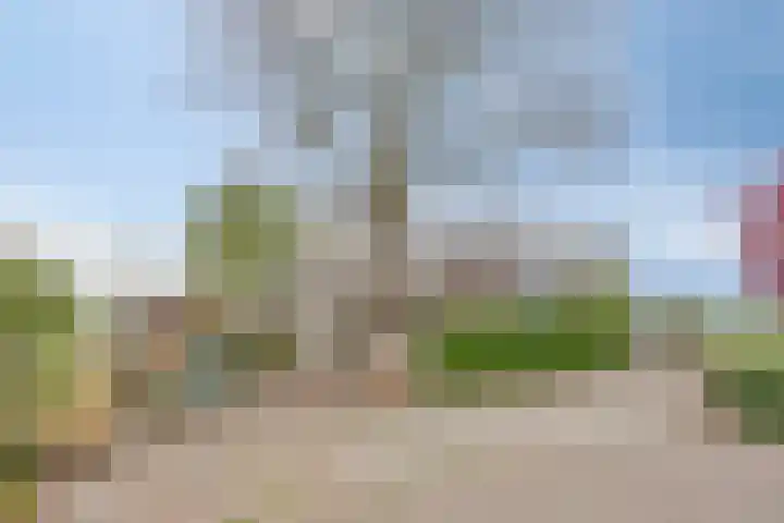 Oude Leedeweg 92 Pijnacker