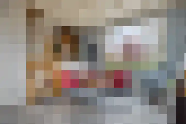 Oude Leedeweg 92 Pijnacker thumbnail 17