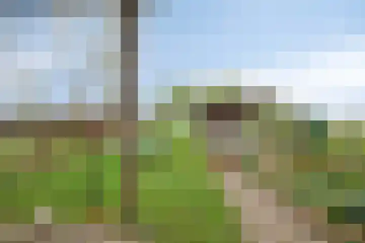 Oude Leedeweg 92 Pijnacker thumbnail 31