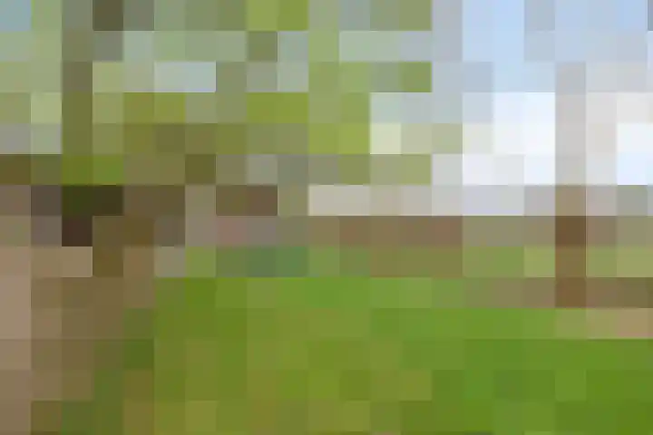 Oude Leedeweg 92 Pijnacker thumbnail 32