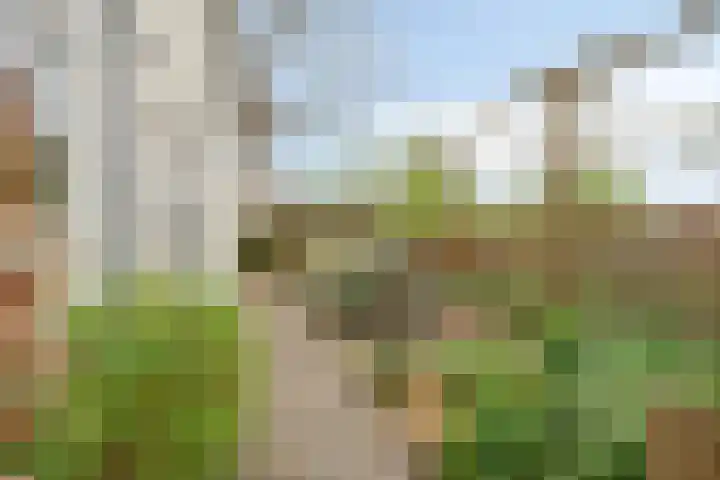 Oude Leedeweg 92 Pijnacker thumbnail 35