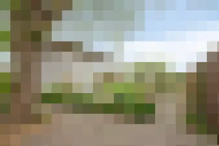 Oude Leedeweg 92 Pijnacker thumbnail 39