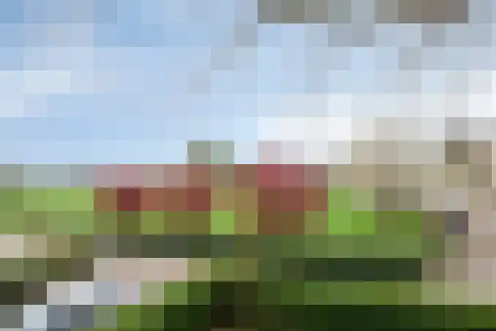 Oude Leedeweg 92 Pijnacker thumbnail 44