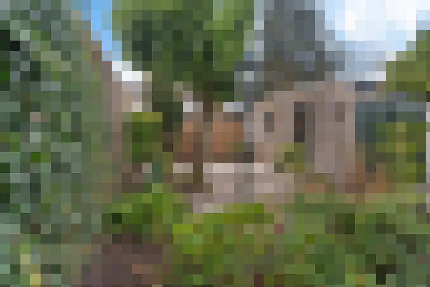 Oude Leedeweg 92 Pijnacker thumbnail 8