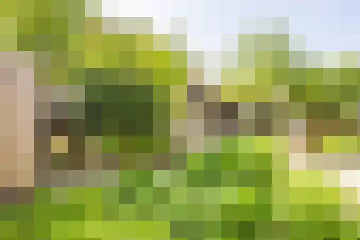 Oude Maar 14 Kerkrade thumbnail 20