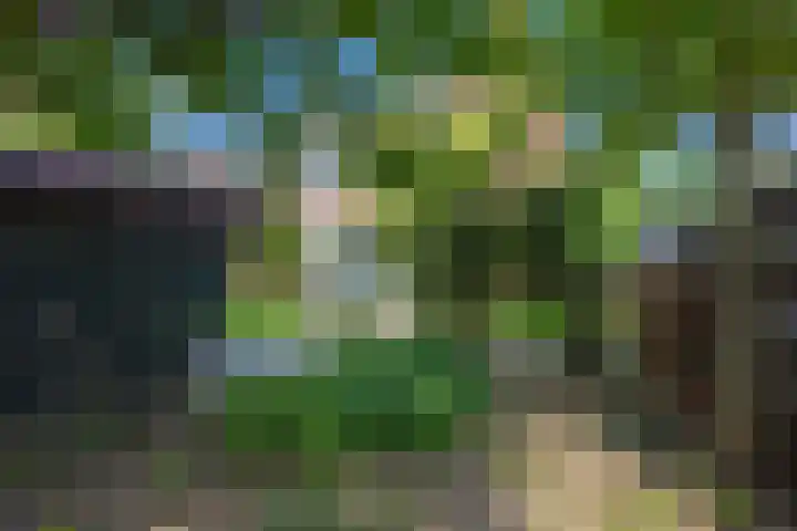 Oude Maar 14 Kerkrade thumbnail 21