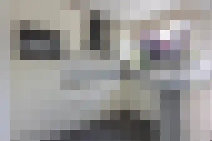 Oude Maar 14 Kerkrade thumbnail 8