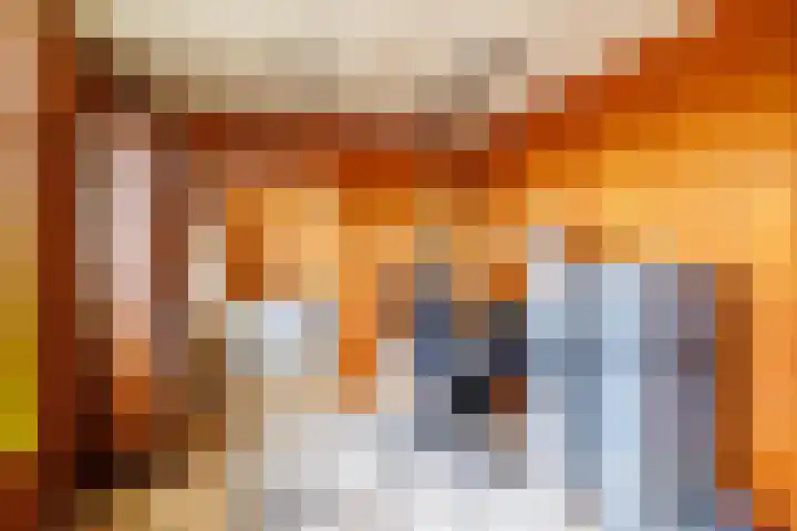 Oude Maasdijk 7 Dreumel thumbnail 18