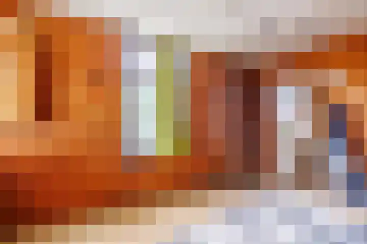 Oude Maasdijk 7 Dreumel thumbnail 19